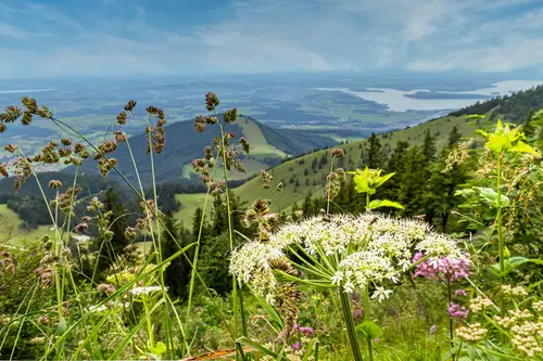 Chiemsee in Bayern